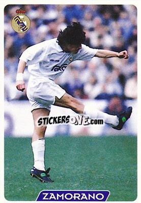 Sticker Zamorano - Las Fichas De La Liga 1995-1996 n. 17 - Mundicromo