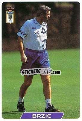 Sticker Brzic MGR - Las Fichas De La Liga 1995-1996 - Mundicromo