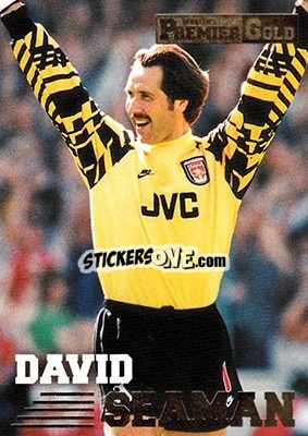 Sticker David Seaman - Premier Gold 1996-1997 n. 6 - Merlin