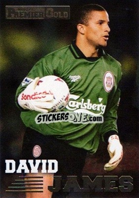 Sticker David James - Premier Gold 1996-1997 - Merlin