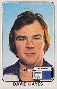 Sticker Davie Hayes - UK Football 1978-1979 n. 516 - Panini