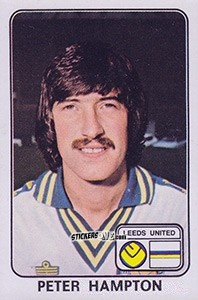 Figurina Peter Hampton - UK Football 1978-1979 n. 183 - Panini