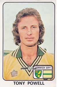 Cromo Tony Powell - UK Football 1978-1979 n. 268 - Panini
