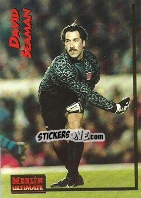 Sticker David Seaman - English Premier League 1995-1996 n. 5 - Merlin