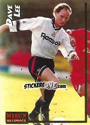 Cromo Dave Lee - English Premier League 1995-1996 - Merlin
