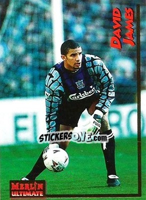 Sticker David James - English Premier League 1995-1996 n. 100 - Merlin