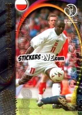Sticker Emmanuel Olisadebe - FIFA World Cup Korea/Japan 2002. Trading Cards n. F14 - Panini