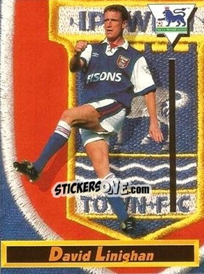 Cromo David Linighan - English Premier League 1993-1994 - Merlin