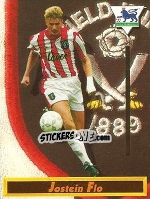 Cromo Jostein Flo - English Premier League 1993-1994 - Merlin
