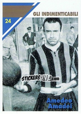 Cromo Amedeo Amadei - Inter Milan 1992-1993 n. 24 - Masters Cards
