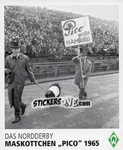 Figurina Maskottchen 'Pico' 1965 - SV Werder Bremen. Lebenslang Grün-Weiss - Juststickit