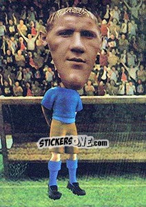 Sticker Senijad Ibricic - World Football Stars 2010 - Aquarius