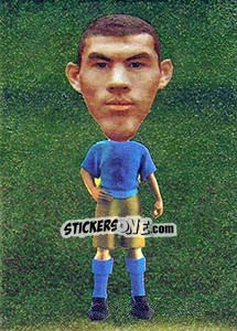 Sticker Edin Džeko - World Football Stars 2010 - Aquarius