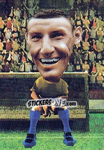 Sticker Elano - World Football Stars 2010 n. 18 - Aquarius