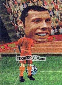 Sticker John Heitinga - World Football Stars 2010 n. 76 - Aquarius