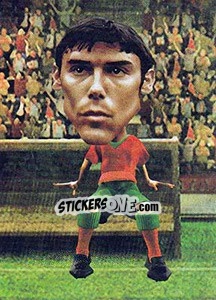 Sticker Paulo Ferreira - World Football Stars 2010 n. 108 - Aquarius