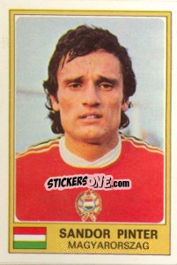 Cromo Sandor Pinter - Euro Football 77 - Panini