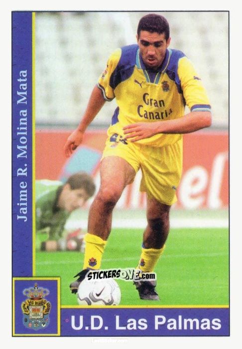 Sticker J.Molina - Las Fichas De La Liga 2001-2002 n. 219 - Mundicromo