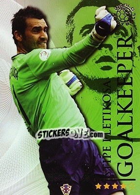 Sticker Pletikosa Stipe - World Football Online 2009-2010. Series 1 - Futera