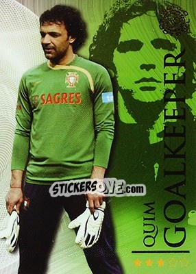 Sticker Quim - World Football Online 2009-2010. Series 1 n. 46 - Futera