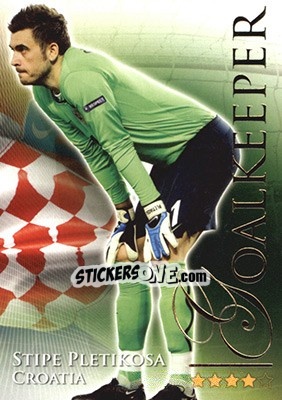 Cromo Pletikosa Stipe - World Football Online 2010-2011. Series 2 - Futera