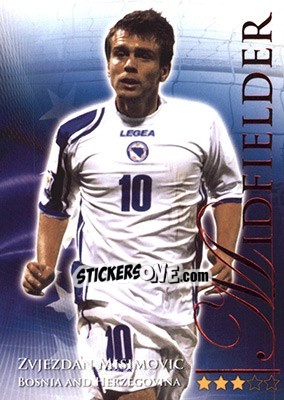 Figurina Misimovic Zvjezdan - World Football Online 2010-2011. Series 2 - Futera