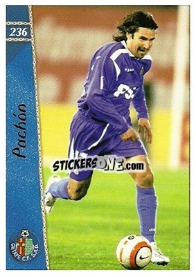 Sticker Pachón - Las Fichas De La Liga 2006-2007 n. 236 - Mundicromo