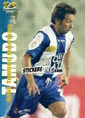 Figurina Tamudo - Las Fichas De La Liga 2006-2007 - Mundicromo