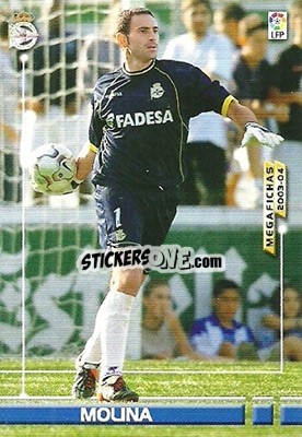 Sticker Molina - Liga 2003-2004. Megafichas n. 110 - Panini