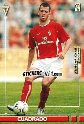 Sticker Cuadrado - Liga 2003-2004. Megafichas n. 204 - Panini