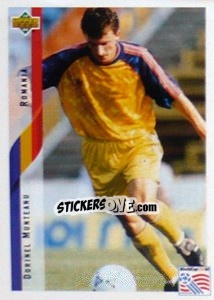 Sticker Dorinel Munteanu - World Cup USA 1994 - Upper Deck