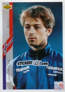 Cromo Erik Mykland - World Cup USA 1994 - Upper Deck
