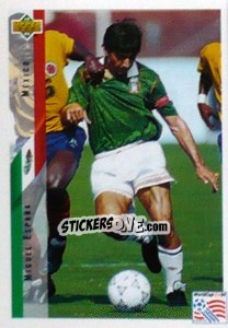 Cromo Miguel España - World Cup USA 1994 - Upper Deck