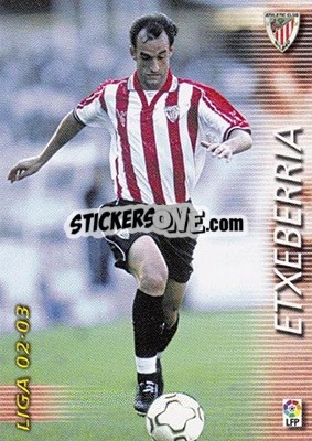 Cromo Etxeberria - Liga 2002-2003. Megafichas - Panini