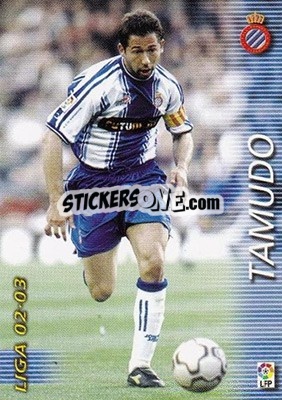 Sticker Tamudo - Liga 2002-2003. Megafichas - Panini