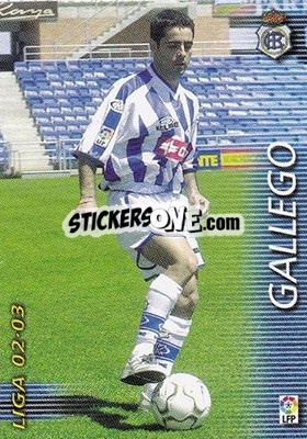 Cromo Gallego - Liga 2002-2003. Megafichas - Panini