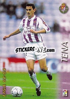 Cromo Tena - Liga 2002-2003. Megafichas - Panini