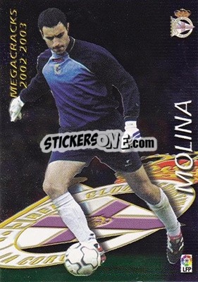 Sticker Molina