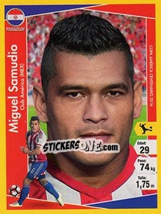 Sticker Miguel Samudio - Copa América Centenario. USA 2016 - Navarrete
