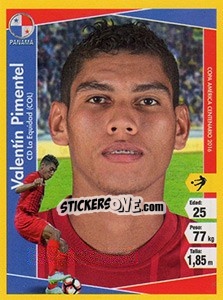 Sticker Valentín Pimentel - Copa América Centenario. USA 2016 - Navarrete