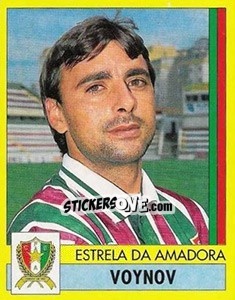 Figurina Voynov - Futebol 1995-1996 n. 13 - Panini