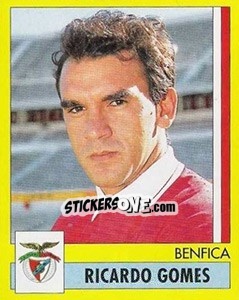 Sticker Ricardo Gomes - Futebol 1995-1996 n. 44 - Panini