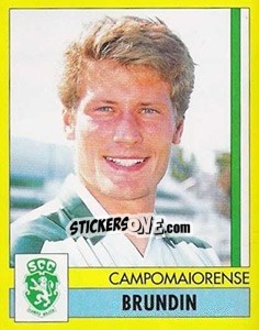 Figurina Brundin - Futebol 1995-1996 n. 100 - Panini