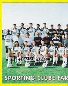 Figurina Team Photo - Futebol 1995-1996 - Panini