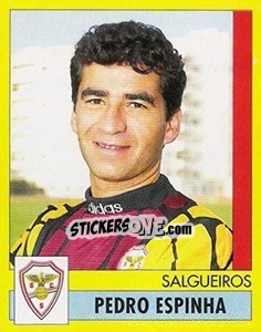 Cromo Pedro Espinha - Futebol 1995-1996 - Panini
