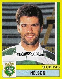 Sticker Nelson - Futebol 1995-1996 n. 329 - Panini