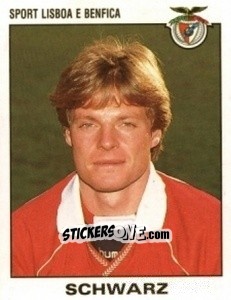 Cromo Schwarz - Futebol 1993-1994 n. 26 - Panini