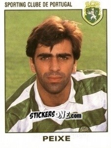 Sticker Peixe - Futebol 1993-1994 n. 43 - Panini