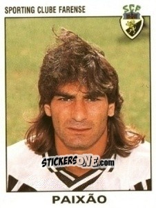 Sticker Paixão - Futebol 1993-1994 n. 102 - Panini