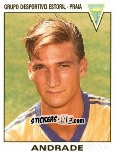 Sticker Andrade - Futebol 1993-1994 n. 238 - Panini